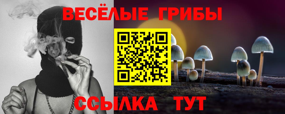 Галлюциногенные грибы прущие грибы  Вход с VPN  Новошахтинск 